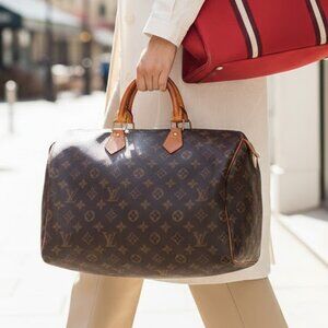 Louis Vuitton Hand Bag Speedy 40 Browns